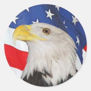 Patriotic Bald Eagle and American Flag Sticker