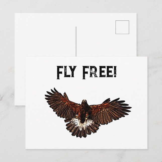 Patriotic Bald Eagle USA Flying Free Nature Art Postcard (Front/Back)