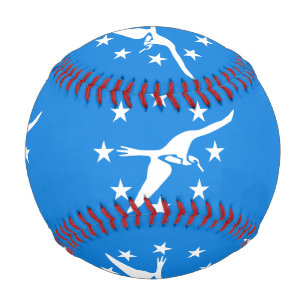 Patriotic baseball with flag of Corpus Christi