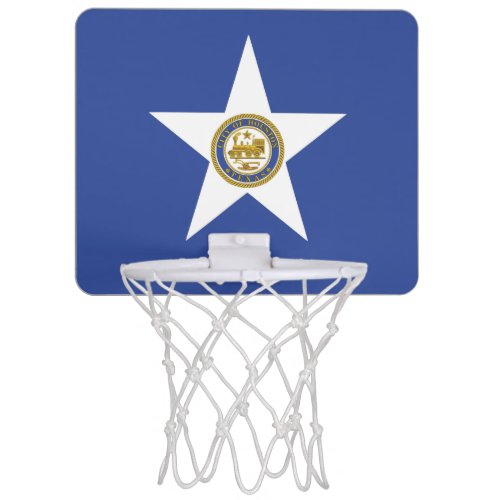 Patriotic basketball hoop Flag of Houston