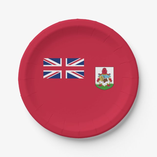 Patriotic Bermuda Flag Paper Plates (Front)
