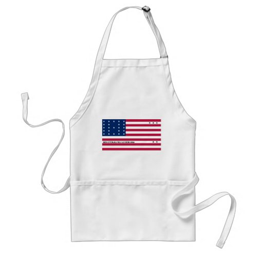 Patriotic Bikini Atoll Flag Adult Apron