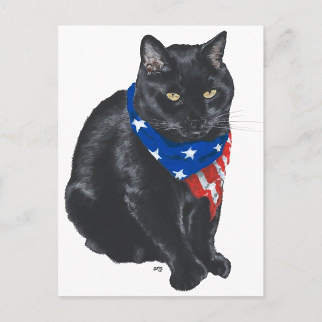 Patriotic Black Cat Postcard (Front)