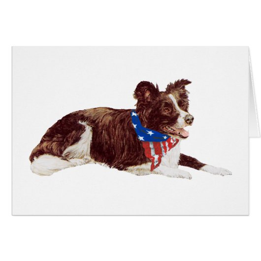 Patriotic Border Collies (Front Horizontal)