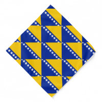 Patriotic Bosnia Herzegovina Flag