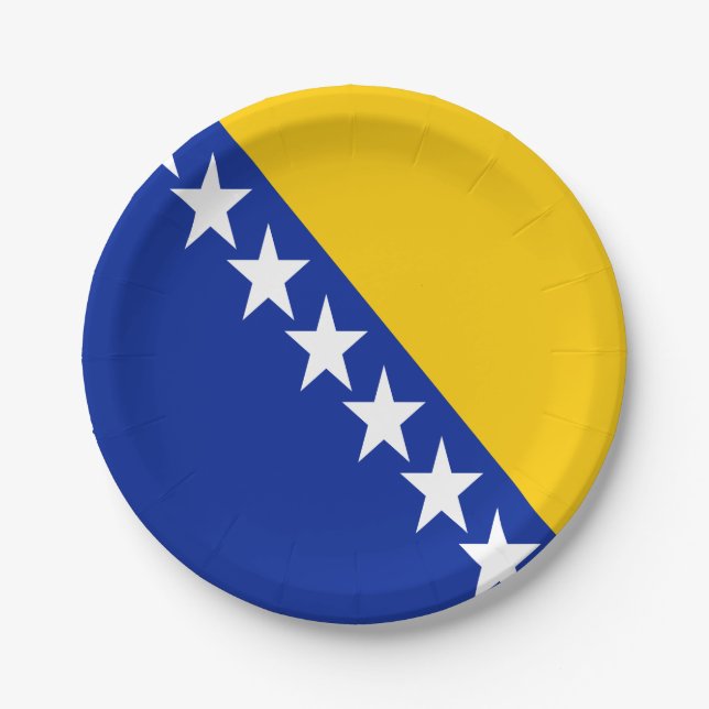Patriotic Bosnia Herzegovina Flag Paper Plates (Front)