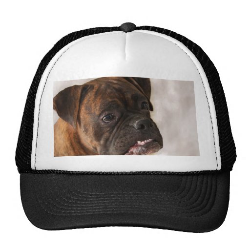 Boxer Dog Hats and Boxer Dog Trucker Hat Designs