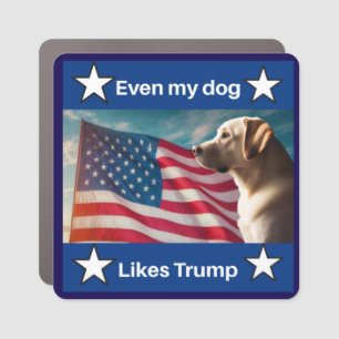  Patriotic Car Magnet