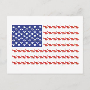 Patriotic Cat/USA Postcard