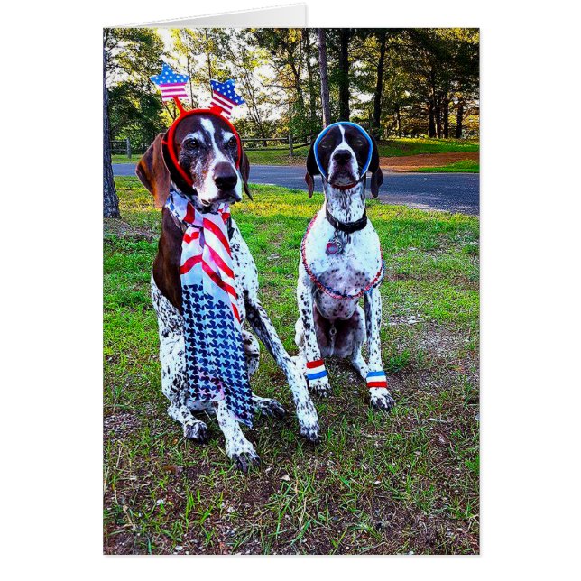 Patriotic Celebration Party Dogs & Fireworks Card (Front)