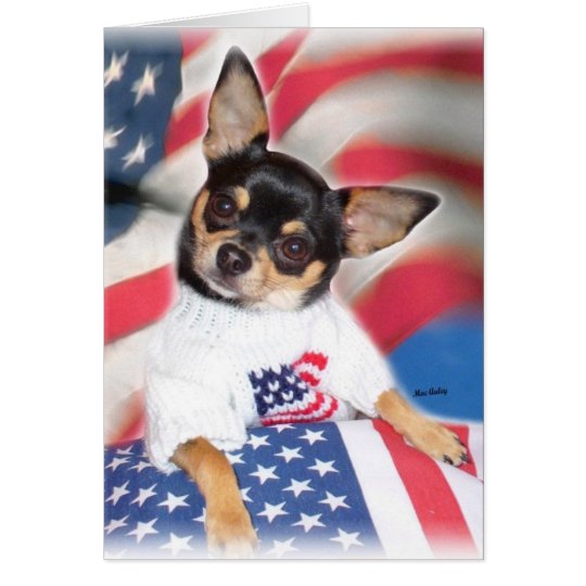 Patriotic Chihuahua greeting card | Zazzle