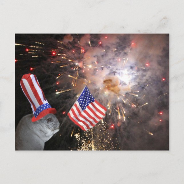 Patriotic Chinchilla Postcard (Front)