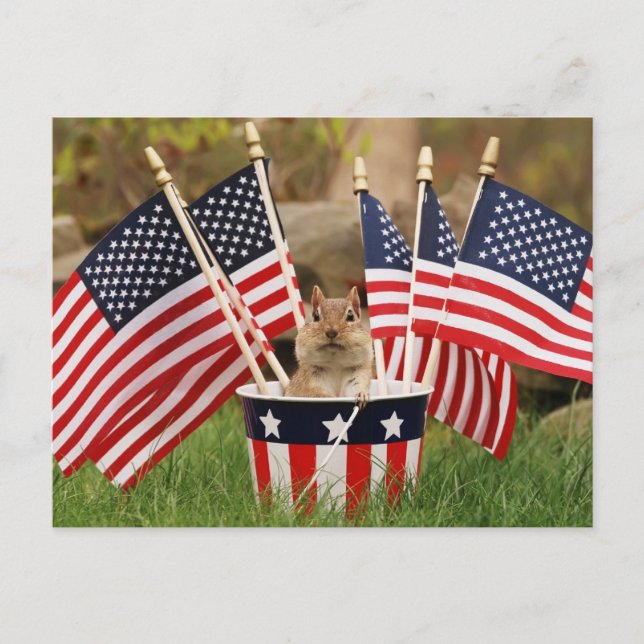 Patriotic Chipmunk Postcard (Front)