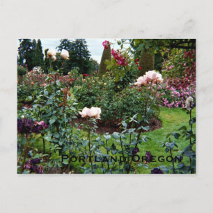 Patriotic Colors Rose Garden Postcard