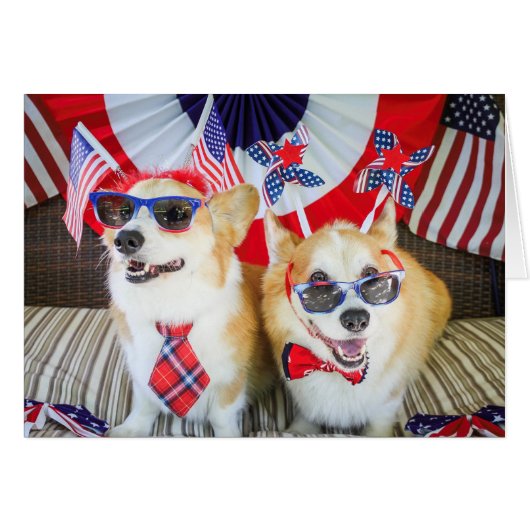 Patriotic Corgis blank card (Front Horizontal)