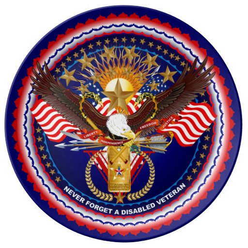 Patriotic Disabled Veteran Porcelain Plate | Zazzle