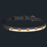 Patriotic dog collar with Flag of Tulsa City<br><div class="desc">Add a touch of Tulsa pride to your pet’s style with our exclusive dog collar featuring the flag of Tulsa, Oklahoma! Crafted with meticulous attention to detail, this collar is more than just a practical accessory; it’s a celebration of Tulsa’s heritage and cultural identity. The vibrant design prominently displays the...</div>