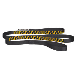 Patriotic dog leash with Flag of Baltimore