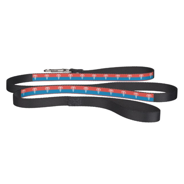 Patriotic dog leash with Flag of Kansas City (Full)