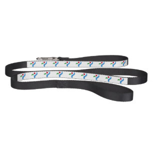 Patriotic dog leash with Flag of Seoul