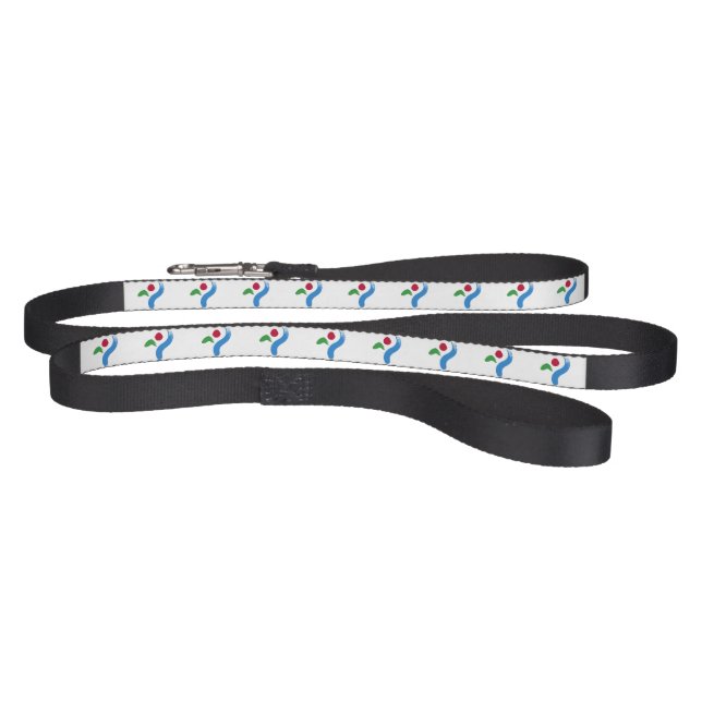 Patriotic dog leash with Flag of Seoul (Full)