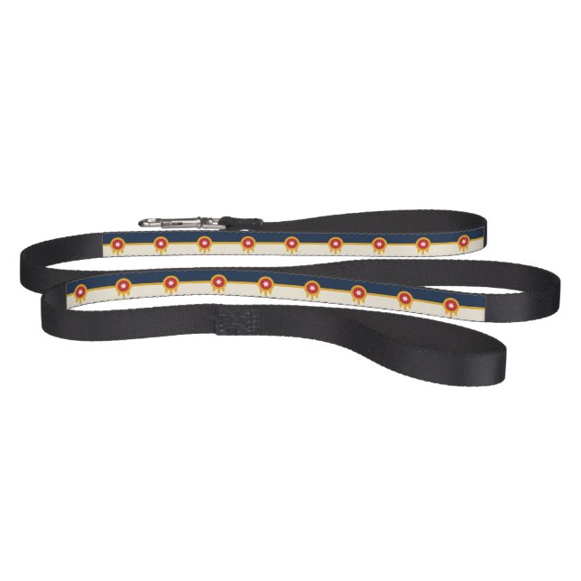 Patriotic dog leash with Flag of Tulsa City (Full)