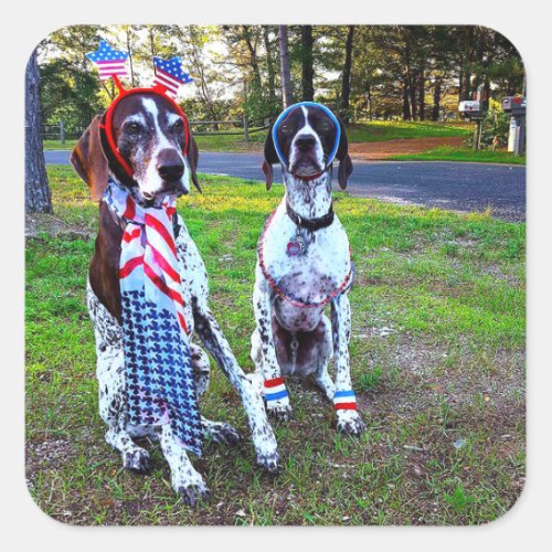 Patriotic Dogs Holiday Celebration Square Stickers