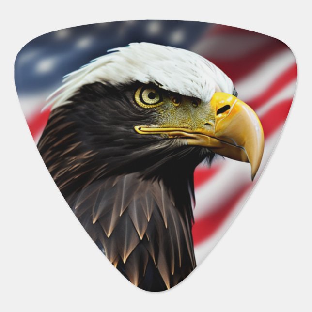 Patriotic/Eagle/American/USA  Guitar Pick (Front)