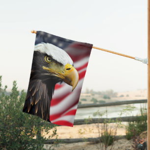 Patriotic/Eagle/American/USA  House Flag