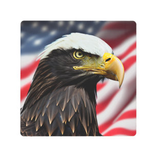 Patriotic/Eagle/American/USA  Metal Print