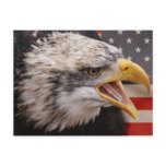 Patriotic Eagle Image Postcard