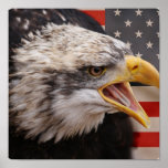 Patriotic Eagle Image Poster Print