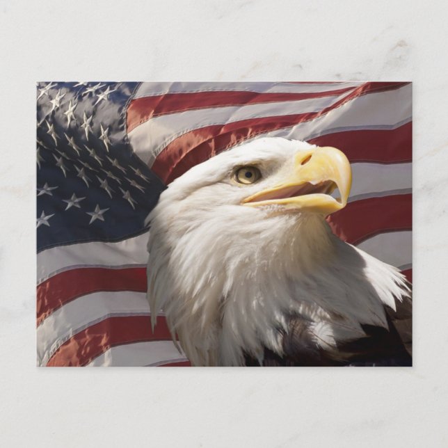 Patriotic Eagle Postcard (Front)