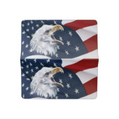 Patriotic flag and eagle checkbook cover (Open)
