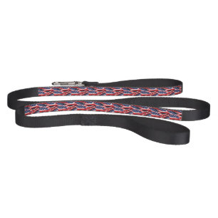 Patriotic Flag Print Dog Leash