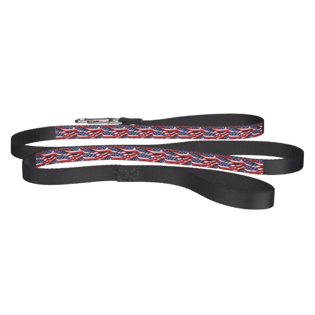 Patriotic Flag Print Dog Leash (Full)