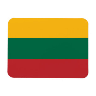 Patriotic flexible magnet with flag of Lithuania