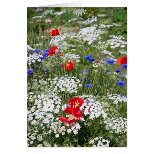Patriotic Flower Garden Card (Front)