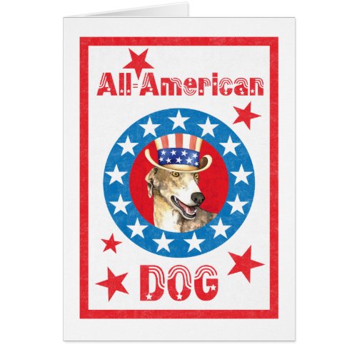 Patriotic Greyhound