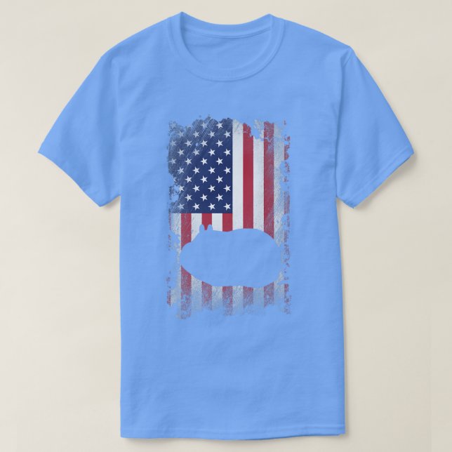 Patriotic Guinea Pig American Flag Cool Guinea Pig T-Shirt (Design Front)