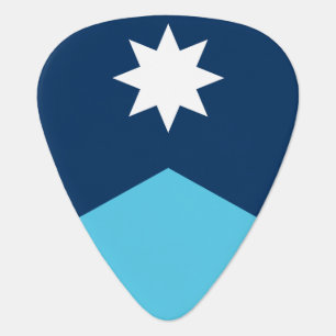 Patriotic guitar pick with Flag of Minnesota, USA