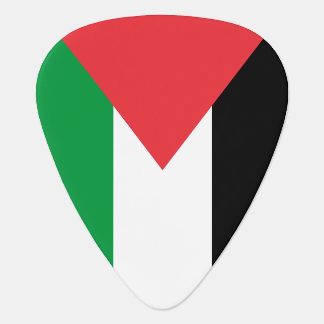 Patriotic guitar pick with Flag of Palestine (Front)