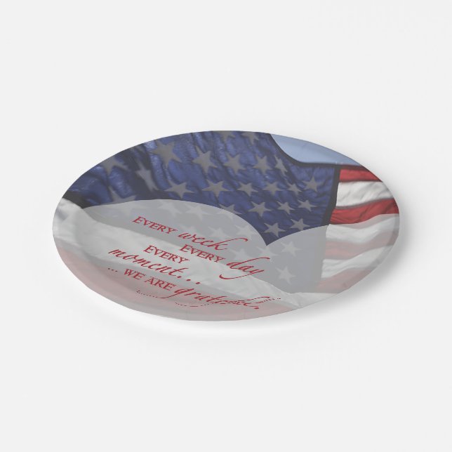Patriotic Heart Flag, Military Appreciation Paper Plates (Angled)