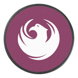 Patriotic hockey puck with flag of Phoenix City