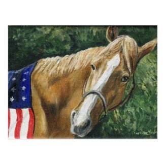 "Patriotic Horse" Art Reproduction Postcards
