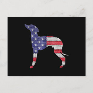 patriotic italian greyhound american flag embroide announcement postcard