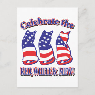 Patriotic Kitty Cats Postcard