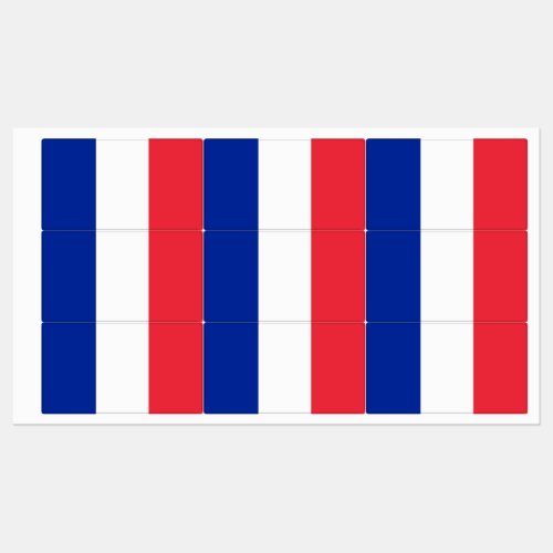 Patriotic labels with flag of France