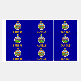 Patriotic labels with flag of Kansas State
