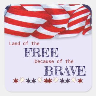 Patriotic Land of the Free Bunting Colorful 